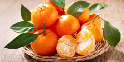 17 oranges différentes que vous allez adorer