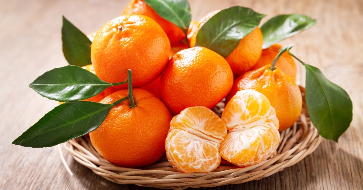 17 oranges différentes que vous allez adorer