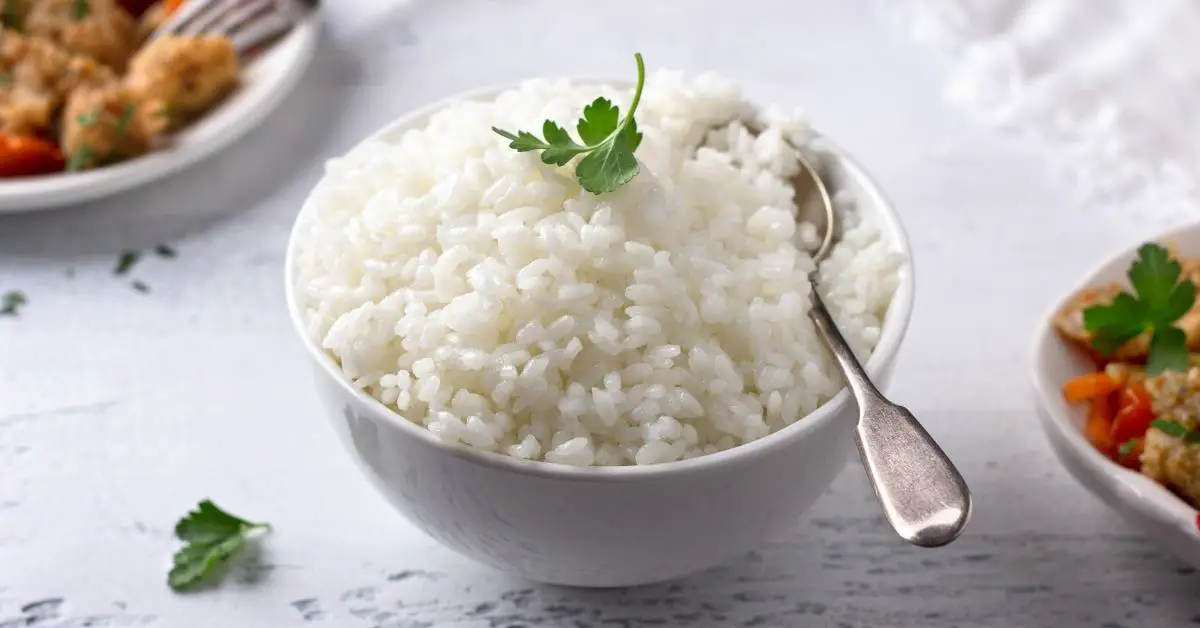 20 meilleurs substituts de riz et alternatives faciles