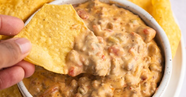 25 meilleures recettes Rotel (idées faciles)