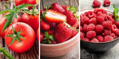 25 meilleurs fruits rouges à ajouter à votre alimentation