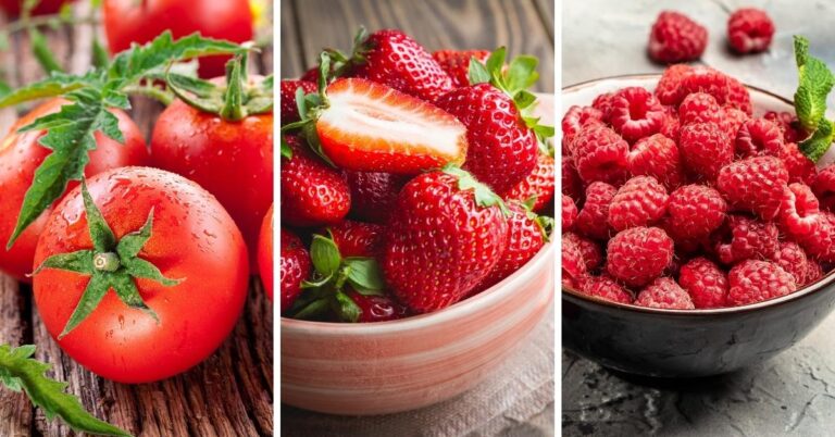 25 meilleurs fruits rouges à ajouter à votre alimentation