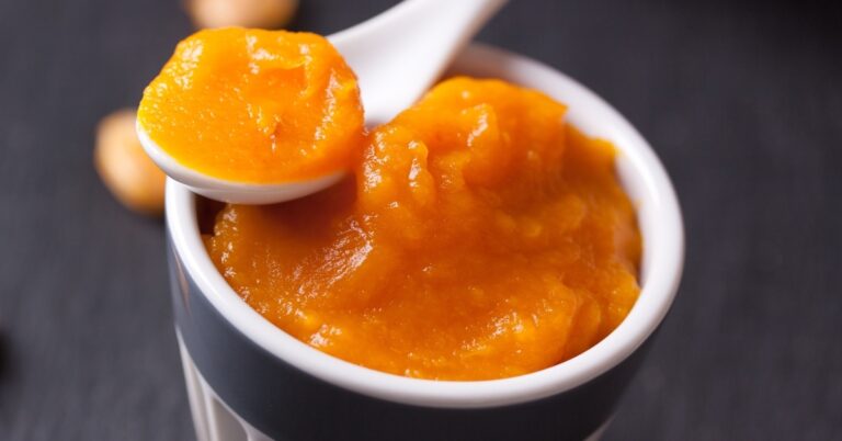 30 meilleures recettes de purée de citrouille qui vont au-delà de la tarte