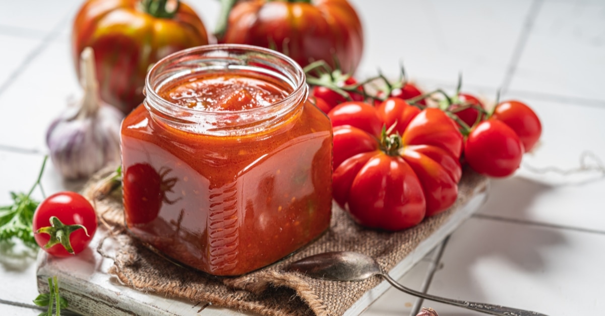 7 meilleurs substituts Rotel