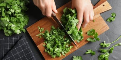 Comment congeler la coriandre (2 méthodes simples)