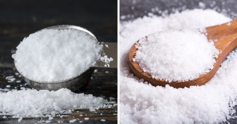 Sel casher vs sel de mer : quelle est la différence ?