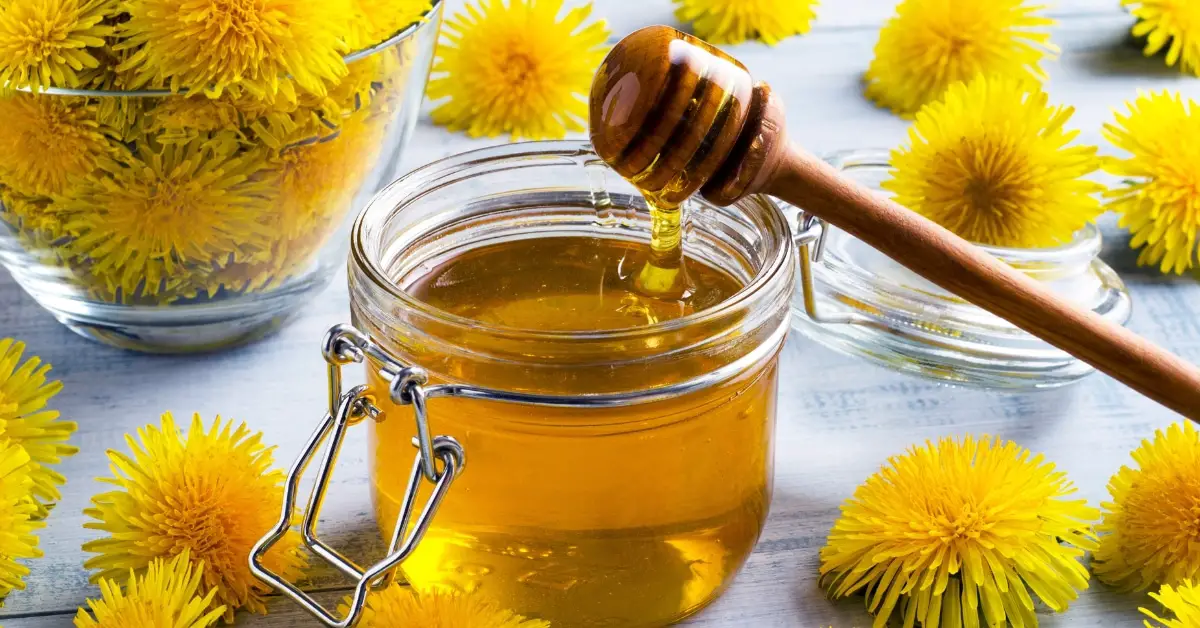 13 meilleurs types de miel (différentes variétés)