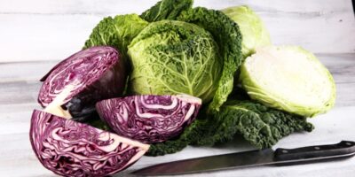 14 types de chou (différentes variétés)