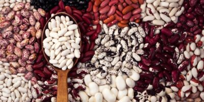 17 types de haricots populaires (+ comment les utiliser)
