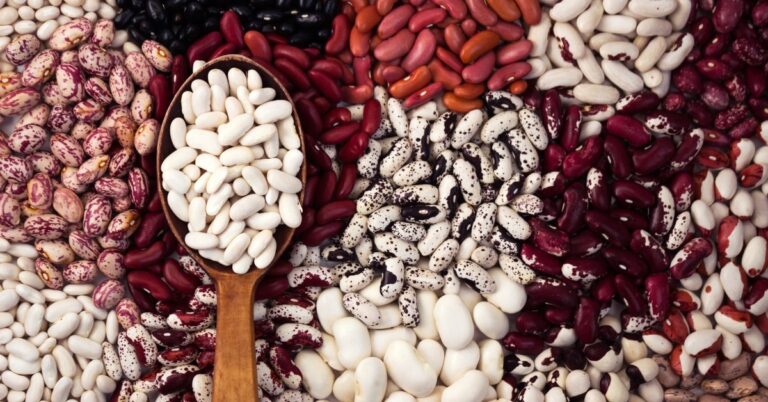 17 types de haricots populaires (+ comment les utiliser)