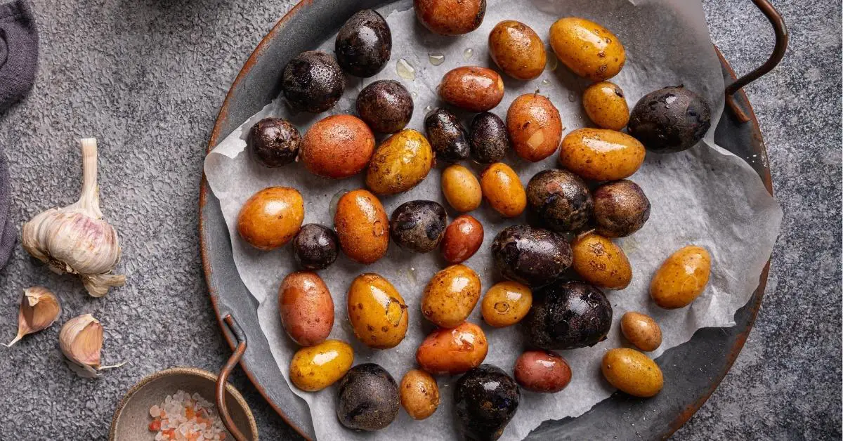 17 types de pommes de terre (différentes variétés)