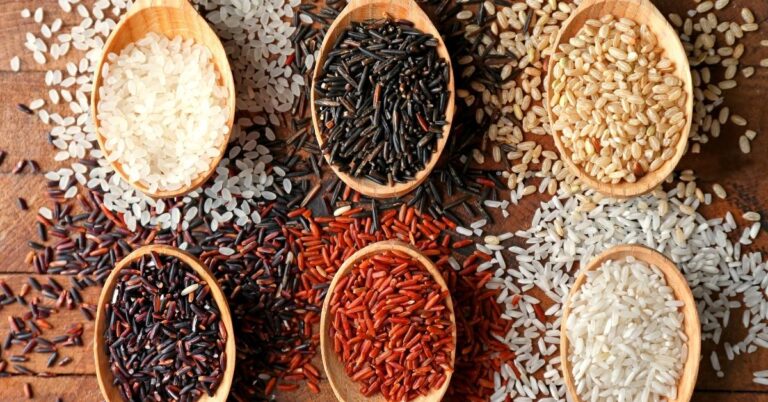 17 types de riz (différents types)