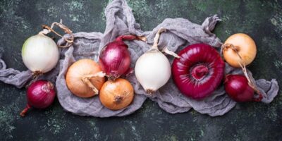 20 types d&rsquo;oignons et comment les utiliser