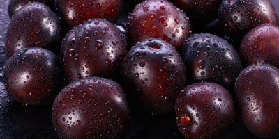 22 types de prunes (différentes variétés)