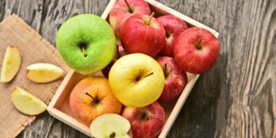 25 types courants de pommes (différentes variétés)