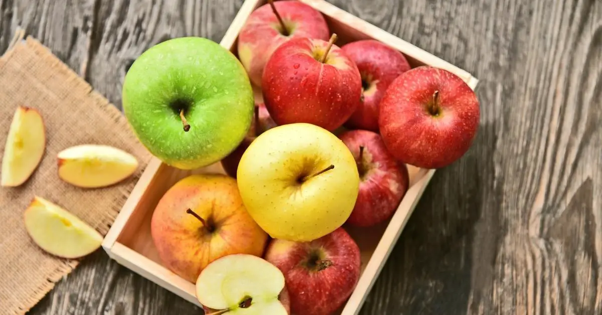 25 types courants de pommes (différentes variétés)
