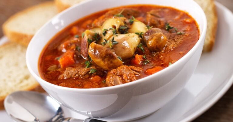 Quelle est la différence entre la soupe et le ragoût ?