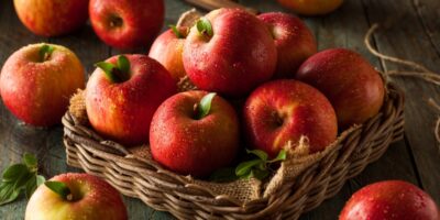 Quelles sont les pommes les plus sucrées ?  (15 types)