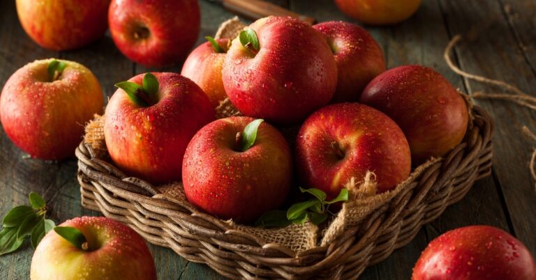 Quelles sont les pommes les plus sucrées ?  (15 types)