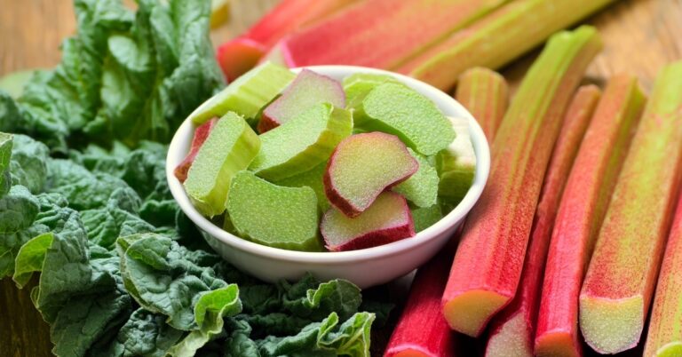 Qu’est-ce que la rhubarbe ?  (+ Que faire avec)