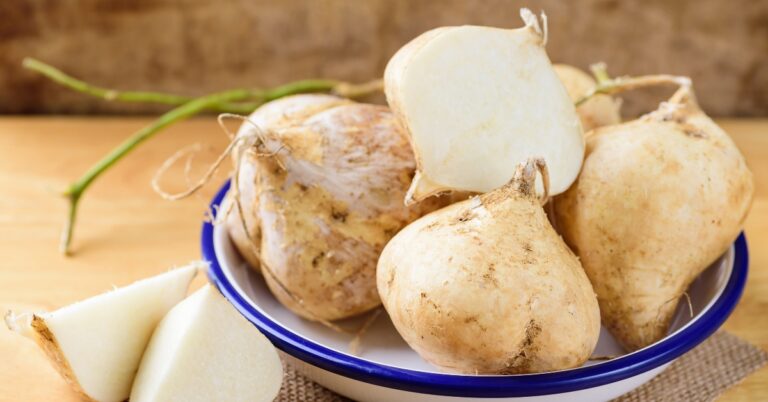 Qu’est-ce que le Jicama ?  (+ Nutrition et bienfaits pour la santé)