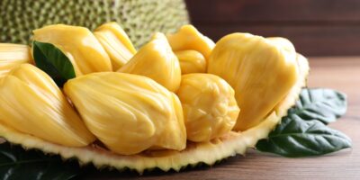 Qu’est-ce que le jacquier ?  (+ Comment le cuisiner)