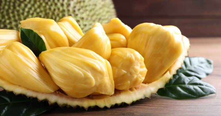 Qu’est-ce que le jacquier ?  (+ Comment le cuisiner)