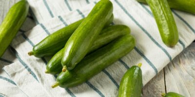 Qu&rsquo;est-ce qu&rsquo;un concombre persan ?  (+ Comment l&rsquo;utiliser)
