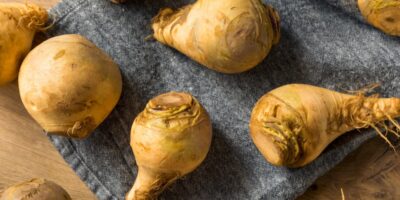 Qu’est-ce qu’un rutabaga ?  (+ Recettes populaires)