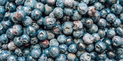 La crème de myrtille : un délice pour les papilles
