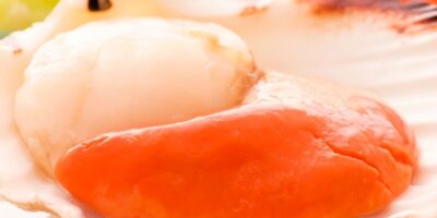 Recette rapide : noix de Saint-Jacques avec corail