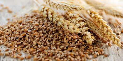 Le SHC acquiert huit installations céréalières de Cargill