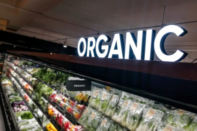 Le marché certifié biologique connaît des ventes record en 2023