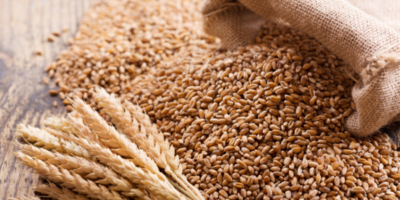 Sunrise Flour Mill s’associe à CEAD Farms