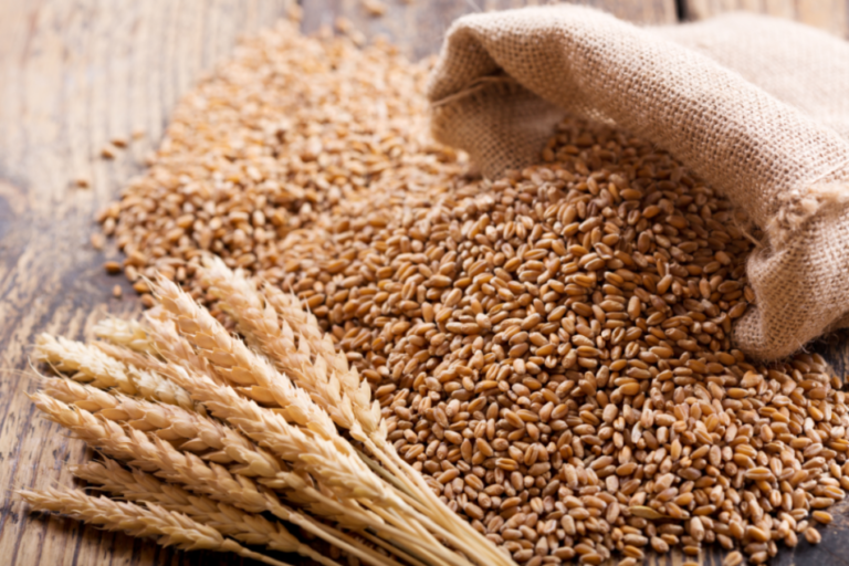 Sunrise Flour Mill s’associe à CEAD Farms