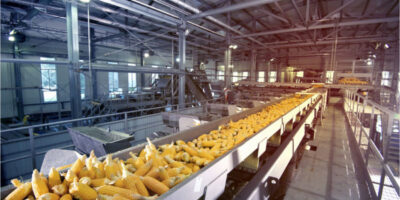 Tate & Lyle vend sa participation dans Primient