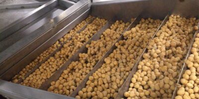 Les fabricants de snacks cherchent à vivre et à laisser frire