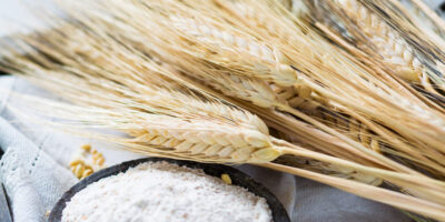 Corteva Agriscience lance le blé dur à haute teneur en fibres Trusource