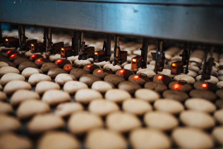 La robotique s'invite dans les boulangeries de taille moyenne