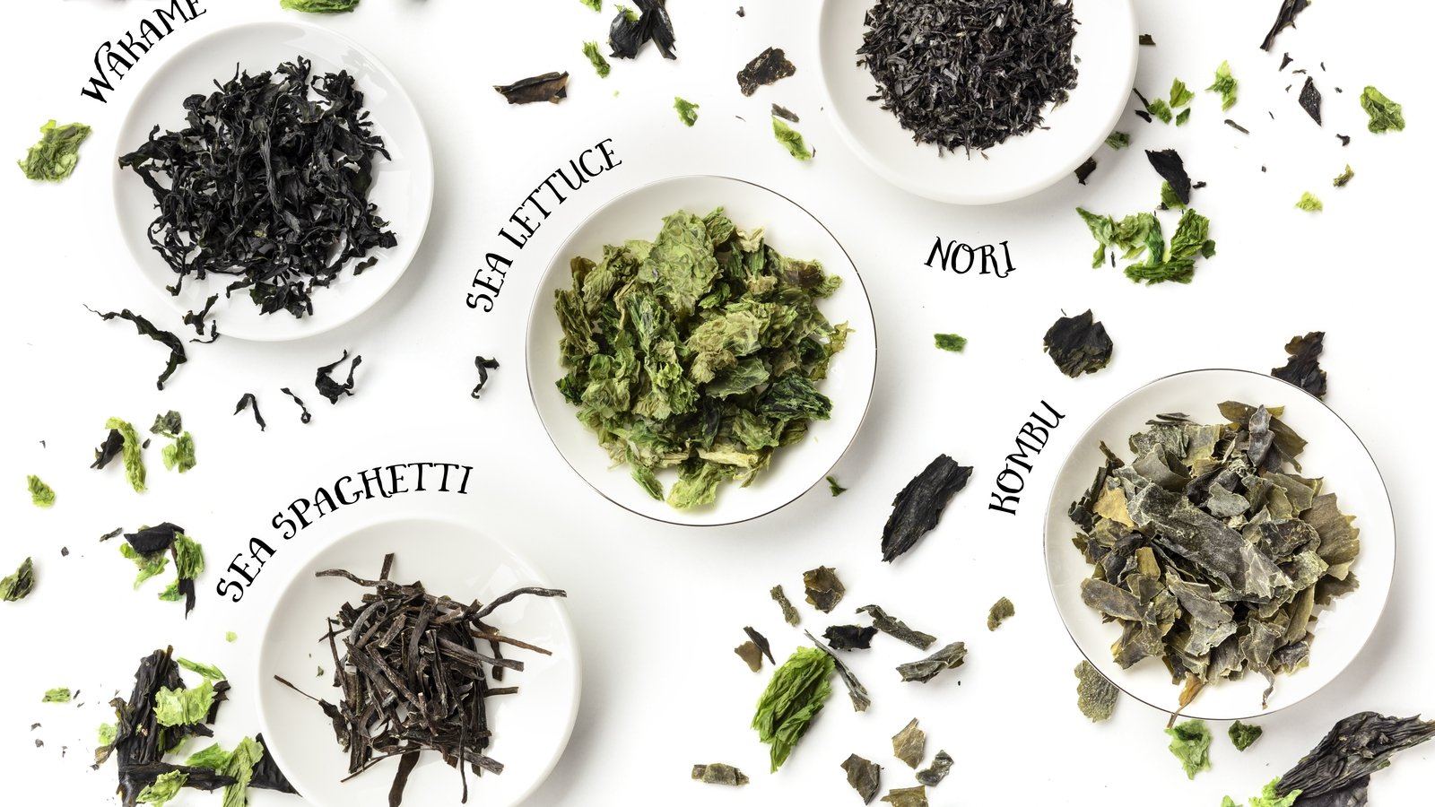 Quels sont les bienfaits pour la santé de la consommation d’algues irlandaises ?