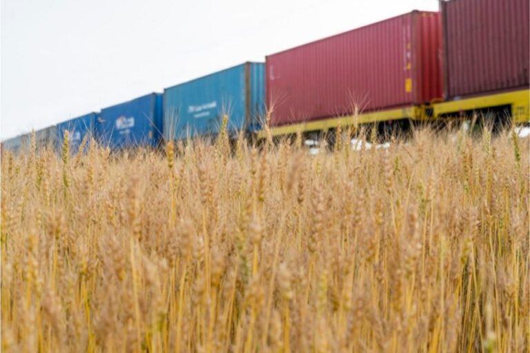 Le trafic ferroviaire cesse au Canada