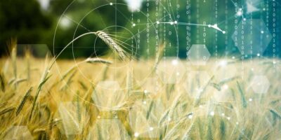 Céréales et Grains réorganise entièrement sa réunion annuelle
