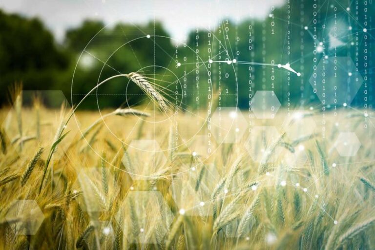Céréales et Grains réorganise entièrement sa réunion annuelle