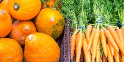 Quels sont les produits de saison en automne et comment les déguster