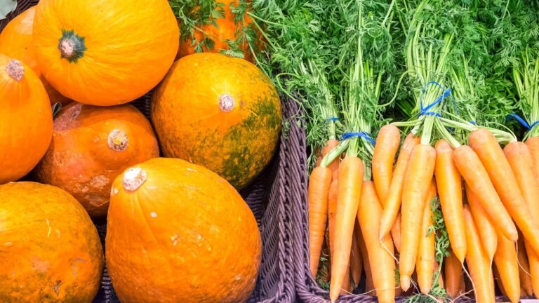 Quels sont les produits de saison en automne et comment les déguster