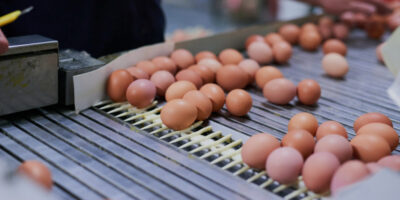 Cal-Maine Foods prend une participation majoritaire dans une coentreprise