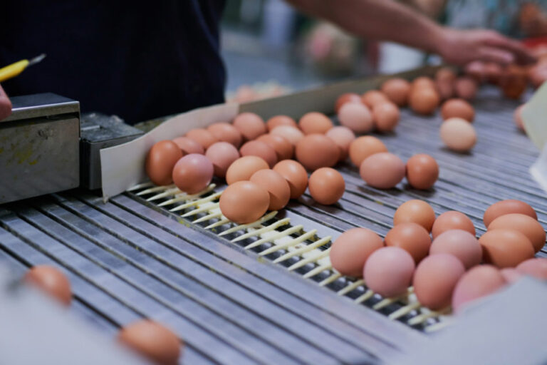 Cal-Maine Foods prend une participation majoritaire dans une coentreprise