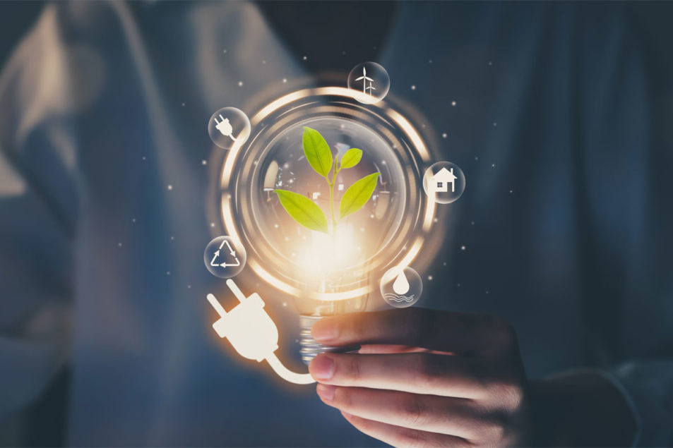 Tate & Lyle signe un accord sur les énergies renouvelables