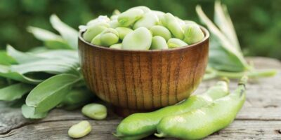 Roquette enrichit sa gamme de protéines végétales Nutralys