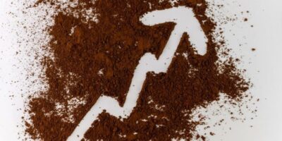 Utiliser des graisses et des huiles pour atténuer les coûts du cacao